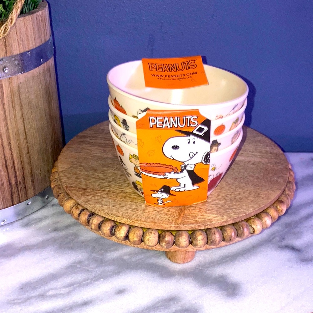 Snoopy peanuts Halloween sauce bowl set